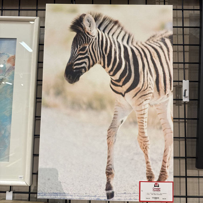 Zebra Canvas(LS)