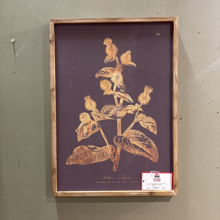 Botanical Graphite Print(AT)