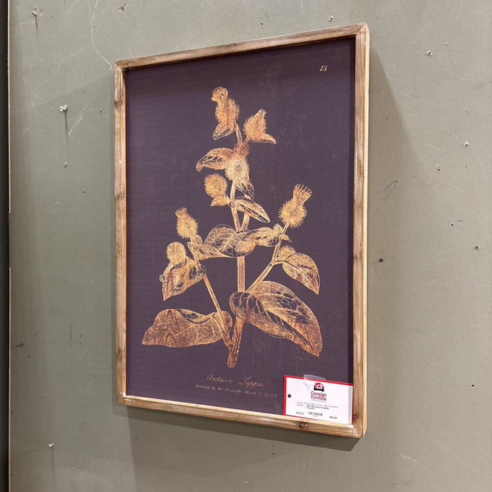 Botanical Graphite Print(AT)