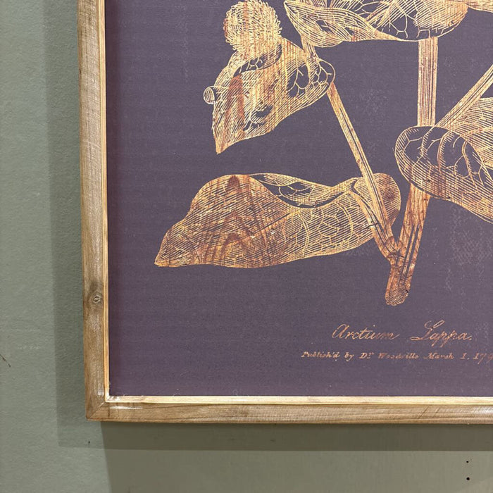 Botanical Graphite Print(AT)