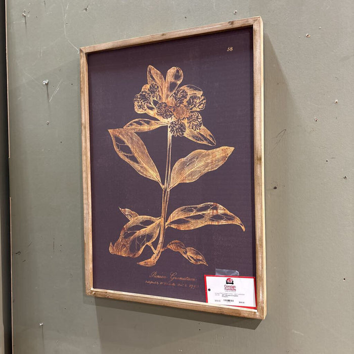 Botanical Graphite Print(AT)