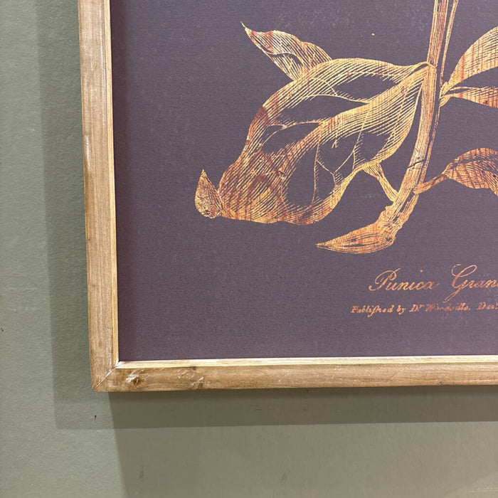Botanical Graphite Print(AT)