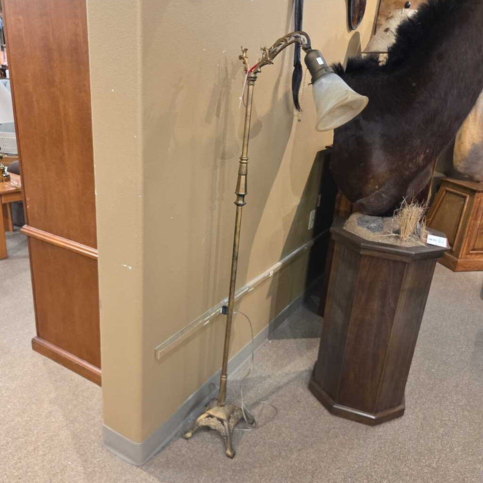 Gold/Brass Floor Lamp(KL)