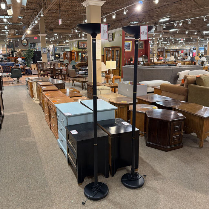 Modern Black/Gold Floor Lamp(TI)