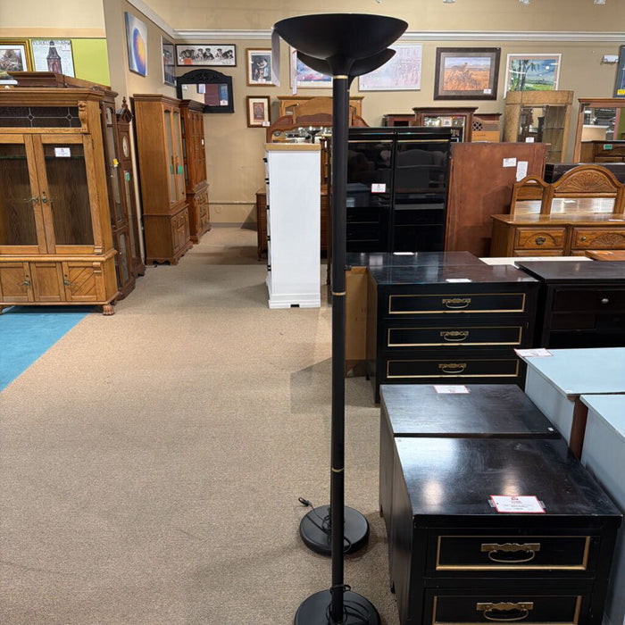 Modern Black/Gold Floor Lamp(TI)