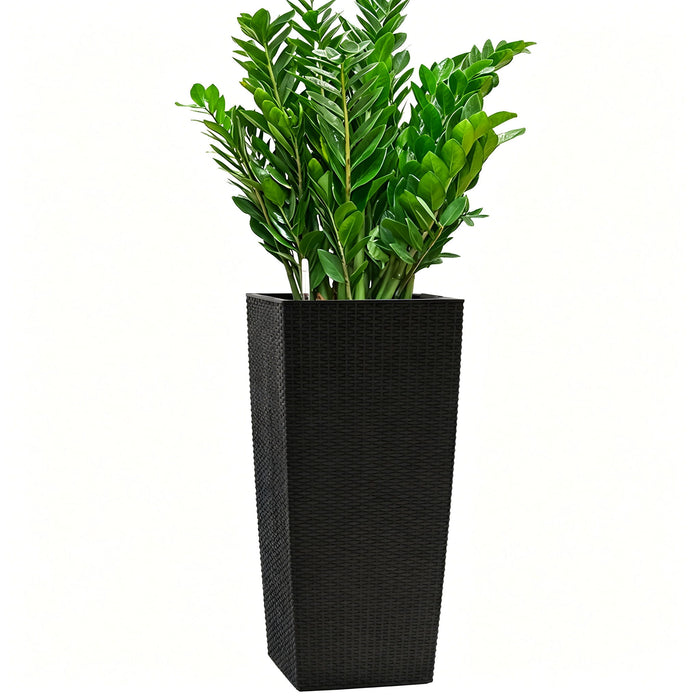 Indoor Outdoor Planter With Automatic Watering System