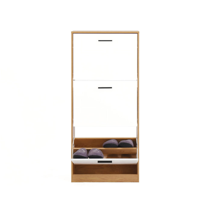 Modern Freestanding Shoe Storage Cabinet With 3 Flip Drawers
