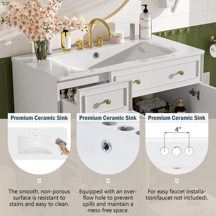 Bathroom Vanity With Sink, Soft Close Doors, Adjustable Shelves