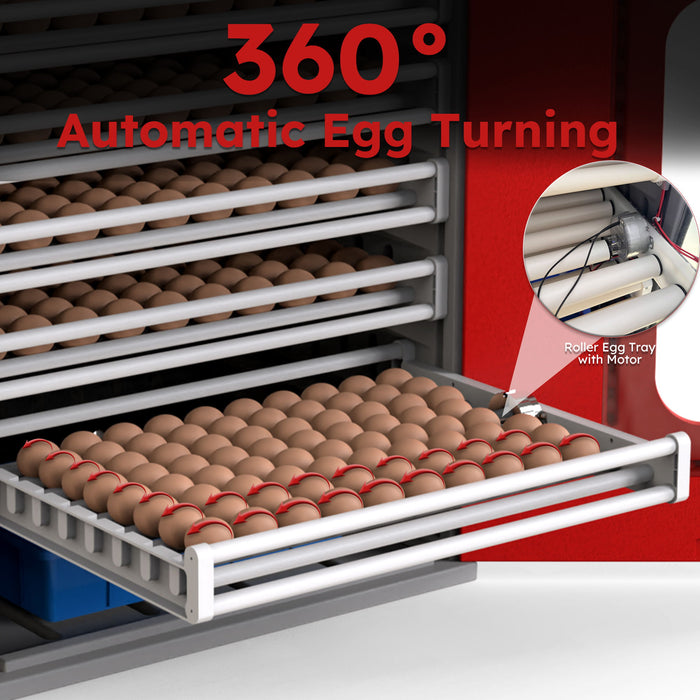 Commercial Egg Digital Cabinet Incubator With Auto Temperature & Humidity Control
