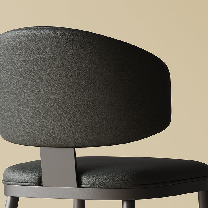 Modern Dining Chairs For Kitchen (Set of 2)