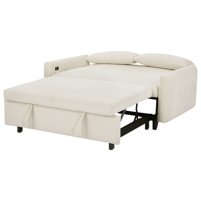 Pull-Out 2 Seat Modern Sleeper Sofa With 2 Throw Pillows And USB Ports