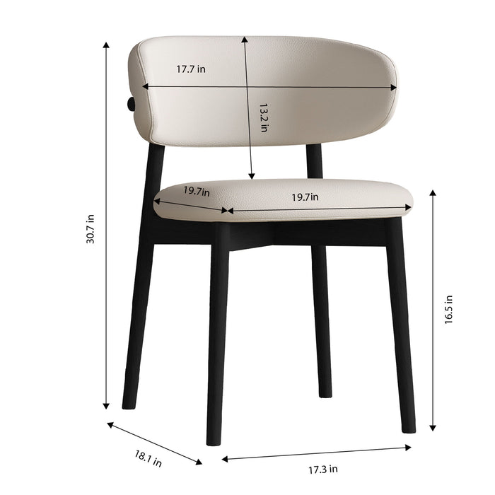 Mid-Century Modern Dining Chair (Set of 2)