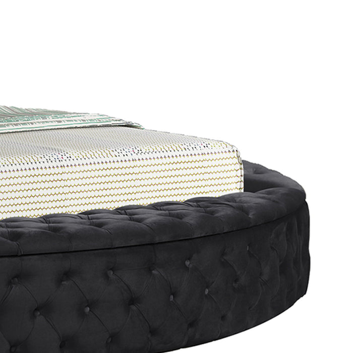 Hazel - Storage Bed