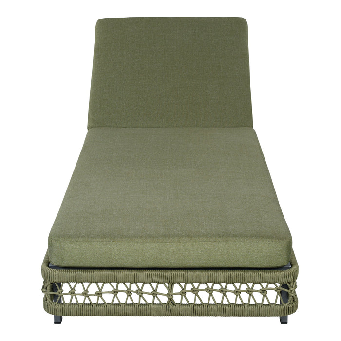 Outdoor Chaise Lounge & Wheels, 5 Position Adjustable Backrest