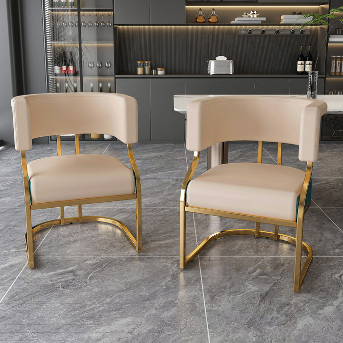 Dining Chairs Ergonomic Curved Backres (Set of 2) - Blue / Neutral