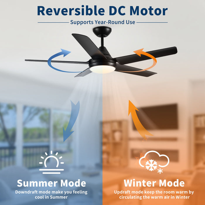 Ceiling Fan With Lights And Remote Control, Reversible DC Motor, 6 Speeds, 3 Cct Dimmable LED, Quiet Timer For Indoor - Black