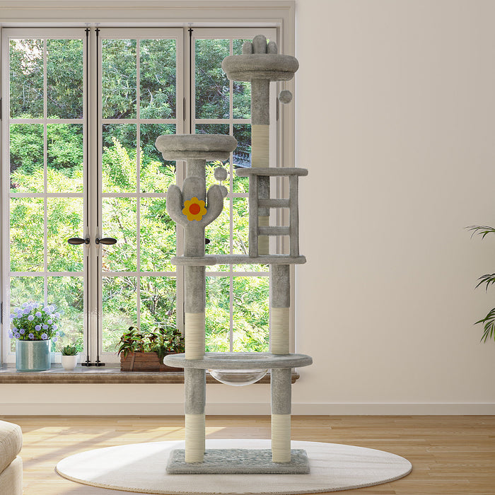 Cactus Cat Tree With Transparent Capsule, Sisal Scratching Posts - Gray