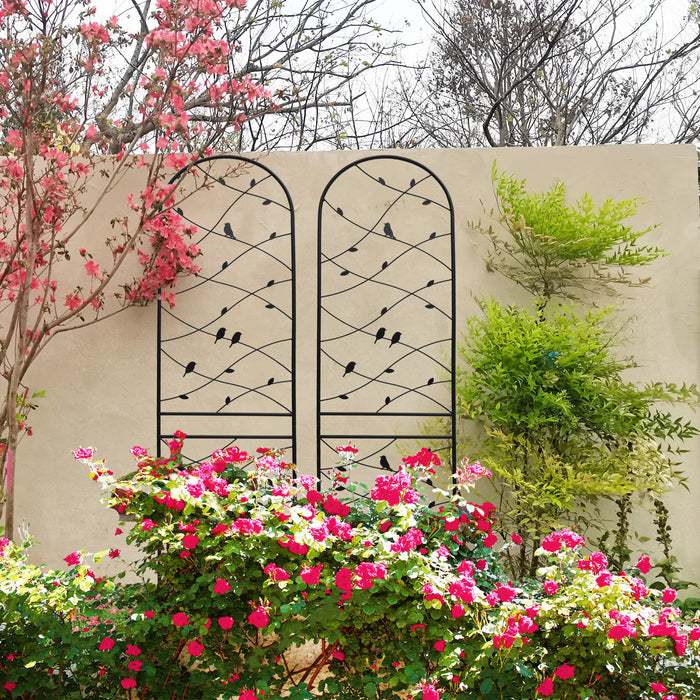 Garden Rustproof Trellis For Climbing Plants