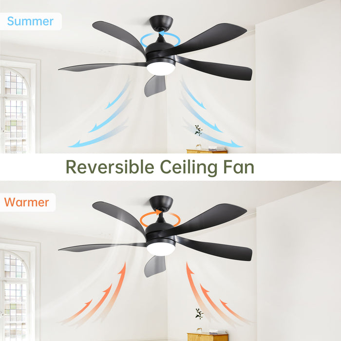 Ceiling Fan & DC Motor And Integrated Light