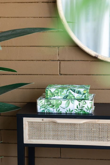 Botanical And Book Boxes (Set of 2) - White / Green