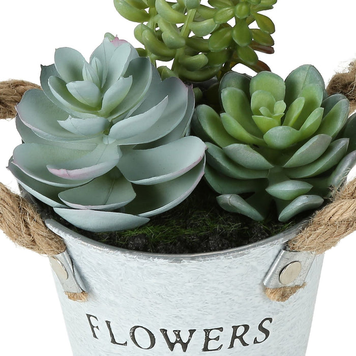 Artificial Succulent, Table Decor (Set of 2) - Green / White