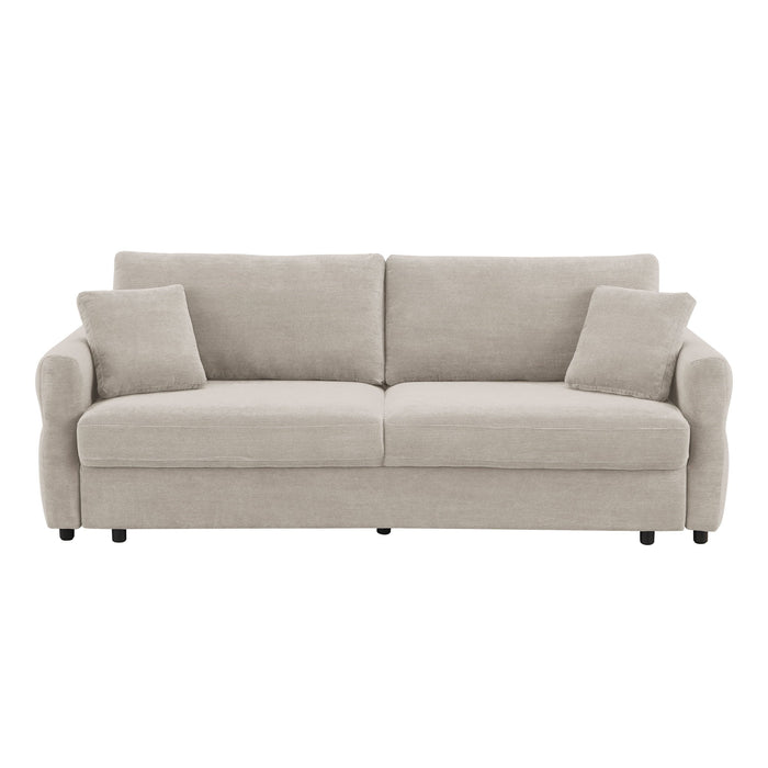 Haran - Pull Out Sleeper Sofa With Storage