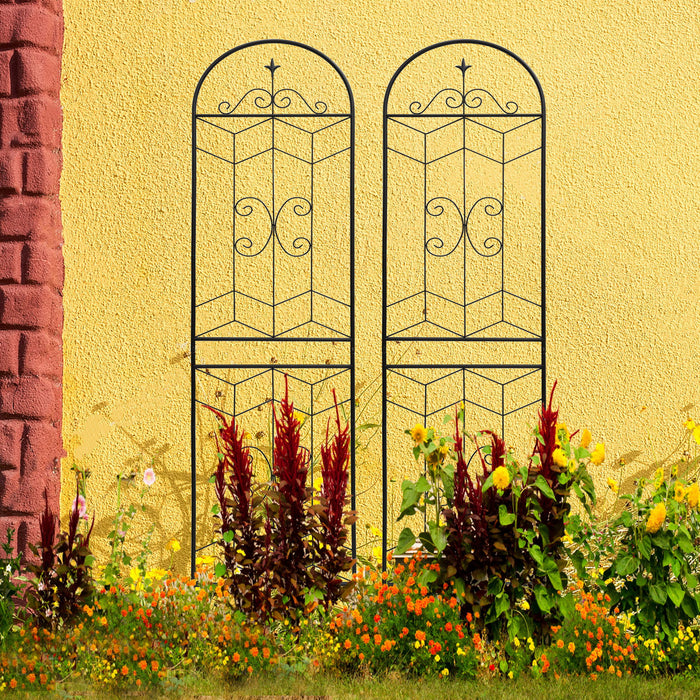 Garden Trellis, Rustproof Support For Climbing Plants