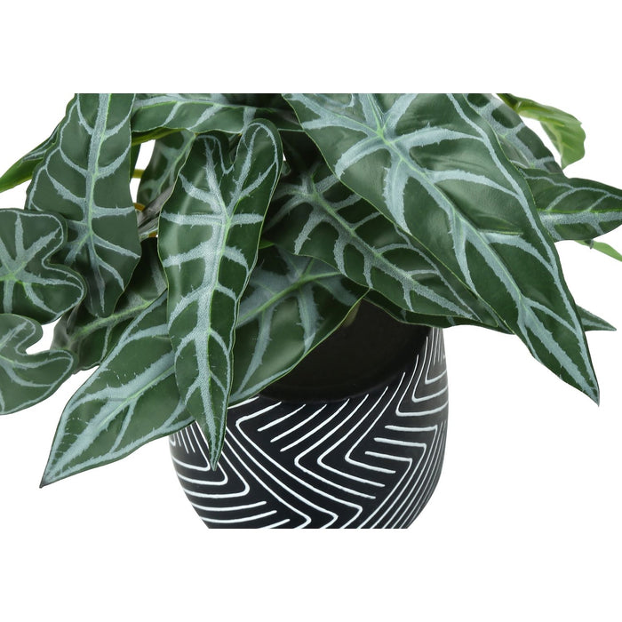 Artificial Alocasia Plant (Set of 2)