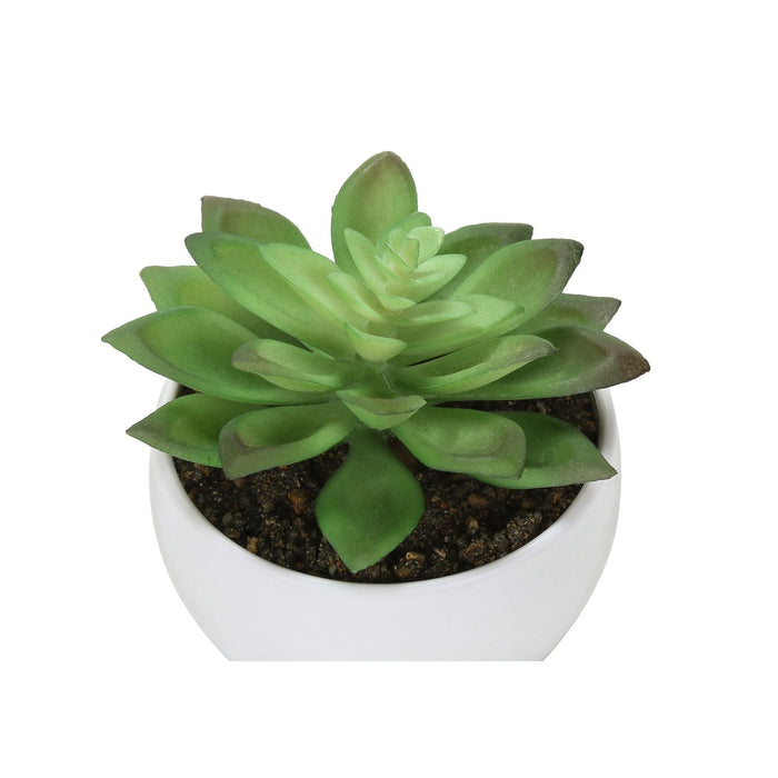 Artificial Succulent Plants (Set of 3)