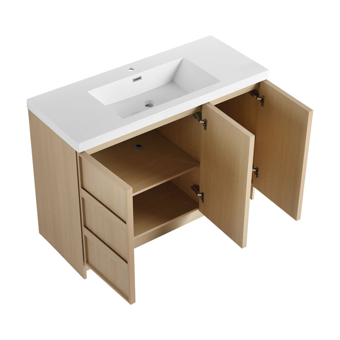 Freestanding Bathroom Vanity With Sink & 2 Soft Close Cabinet Doors