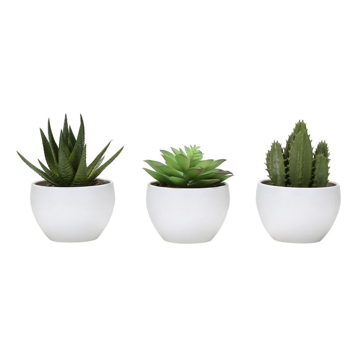 Artificial Succulent Plants (Set of 3)