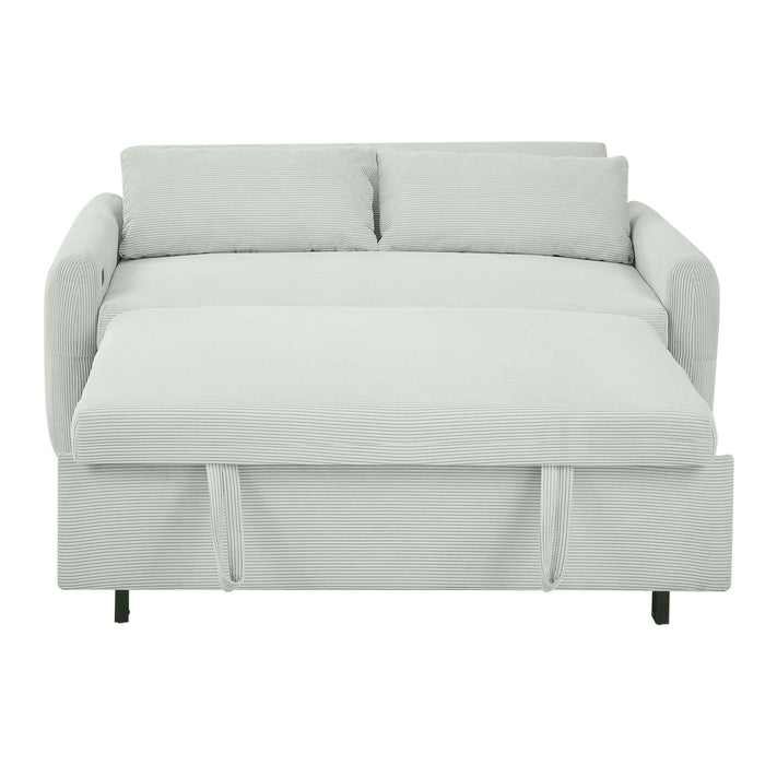 Pull-Out 2 Seat Modern Sleeper Sofa With 2 Throw Pillows And USB Ports