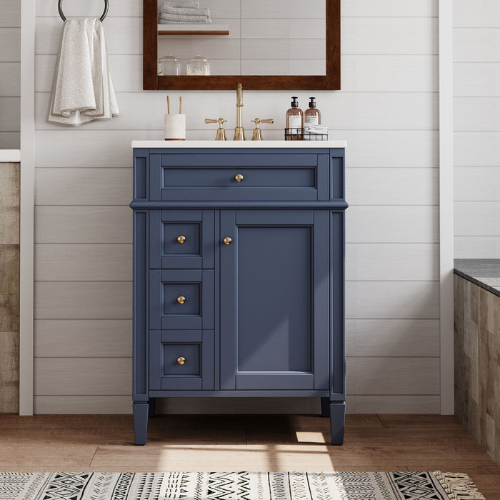 Bathroom Vanity With Top Sink, Storage Cabinet With 2 Drawers And Tip-Out Drawer