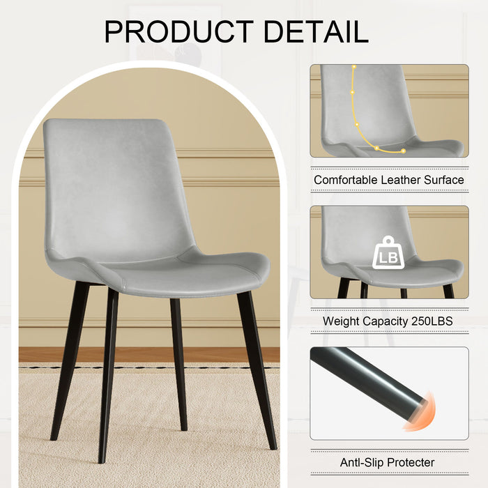 Modern Dining Chair With Carbon Steel Legs