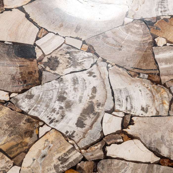 Norwest Petrified - Wood Console Table - Natural