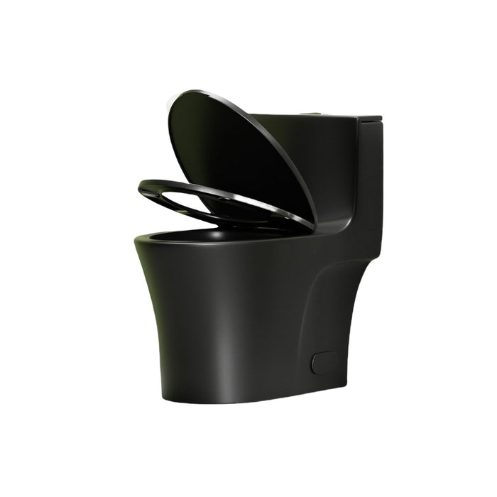 1 Piece Toilet With Dual Flush And Soft Closing Seat
