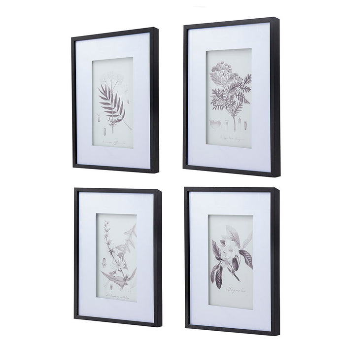 Botanical Wall Art Prints, Home Decor For Living Room Dining Room, Bedroom, Hallway (Set of 4) - White / Black