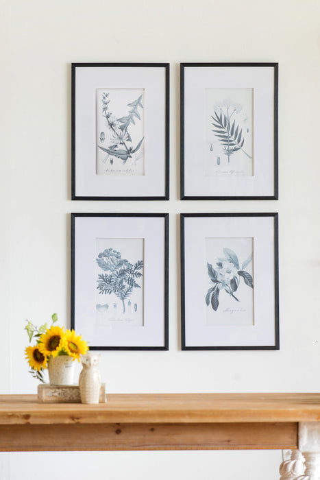 Botanical Wall Art Prints, Home Decor For Living Room Dining Room, Bedroom, Hallway (Set of 4) - White / Black