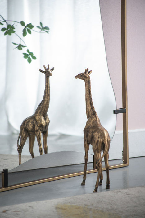 Poppy Mirror With Metal Frame Contemporary Design For Bathroom, Entryway Wall Decor