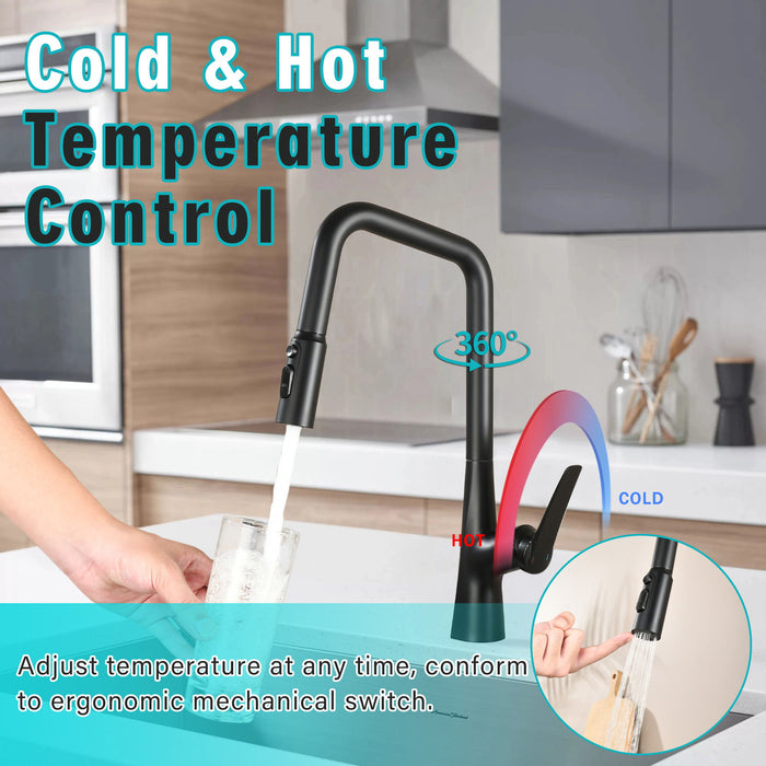 Professional Kitchen Faucet With 3 Function 360 Sprayer And 1 Touch Switching