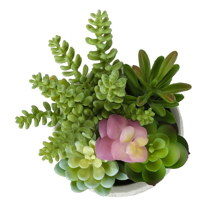 Artificial Succulent, Table Decor (Set of 2) - Green / Gray - Plastic