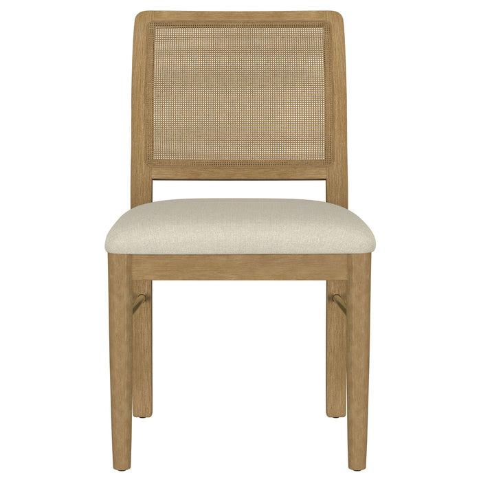 Benson - Dining Side Chair (Set of 2)