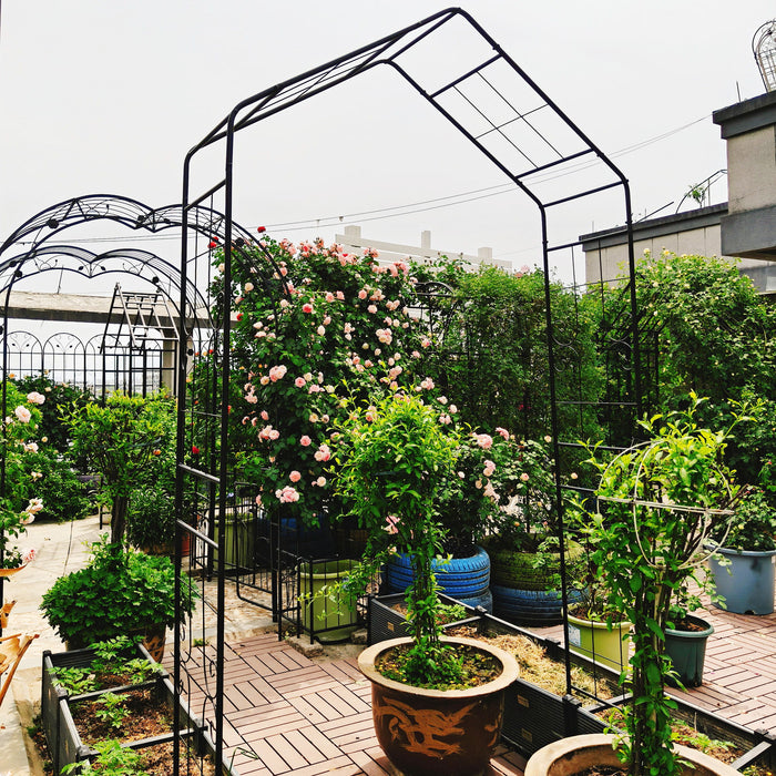 Garden Arch, Climbing Plants Support Outdoor - Black