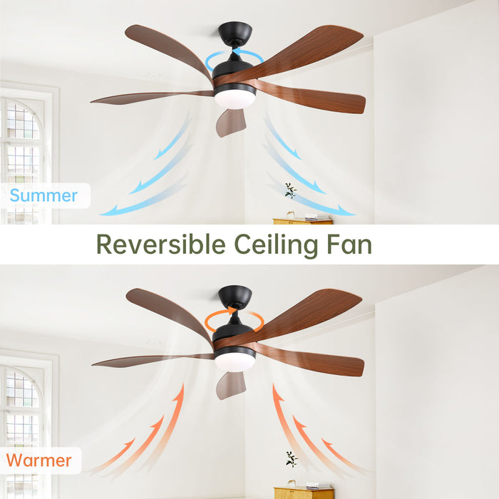 Ceiling Fan & DC Motor And Integrated Light