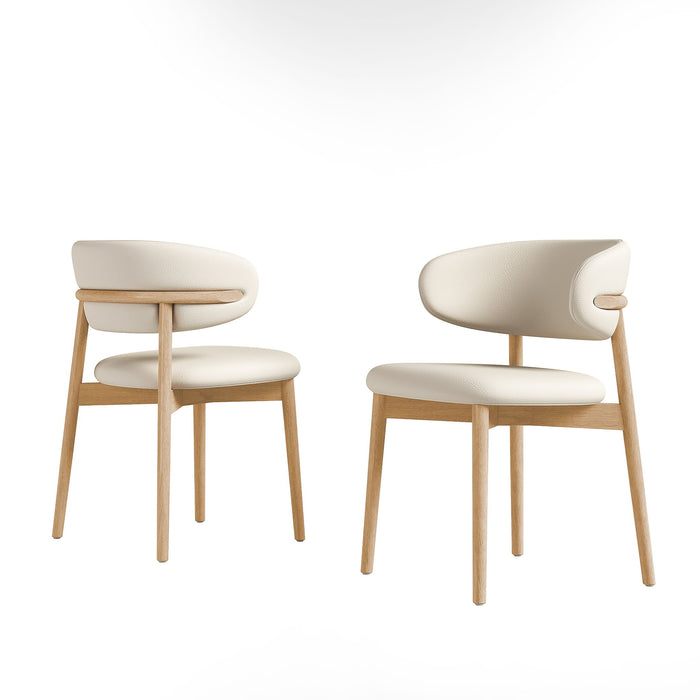Mid-Century Modern Dining Chair (Set of 2)