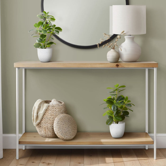 Artificial Ficus Elastica Plant (Set of 2)
