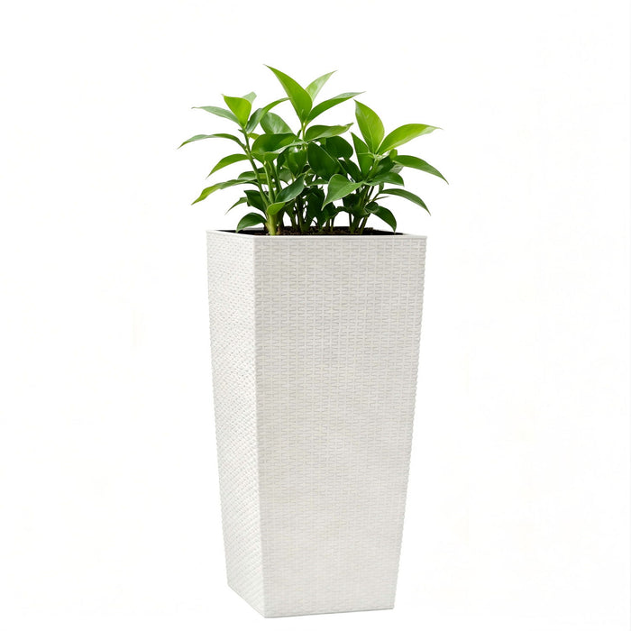 Indoor Outdoor Planter With Automatic Watering System