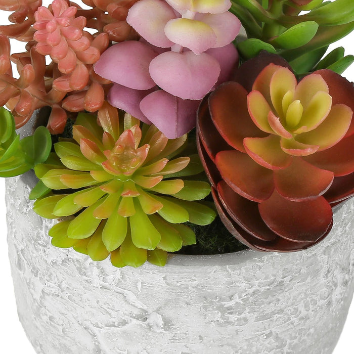 Artificial Succulent, Table Decor (Set of 2) - Green / Gray - Plastic