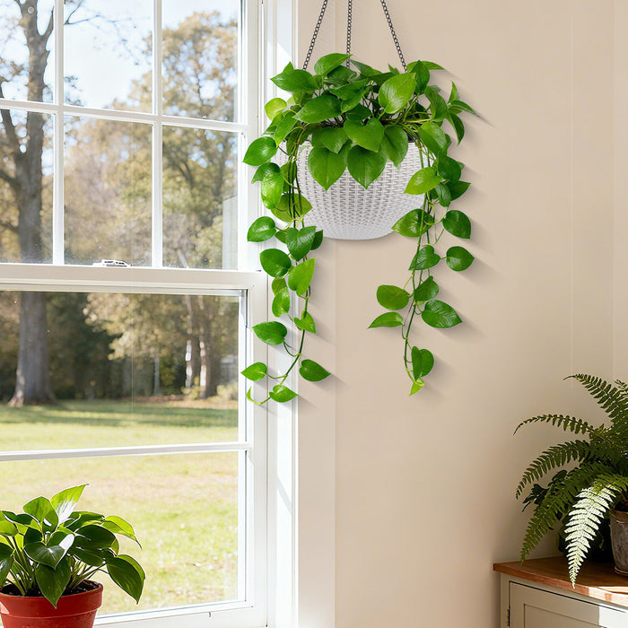 Self Watering Hanging Planter