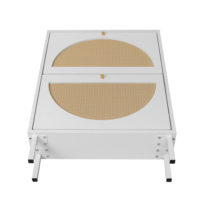 2 Door Shoe Rack, Rattan, Double Layer, Suitable For Living Room, Hallway - White